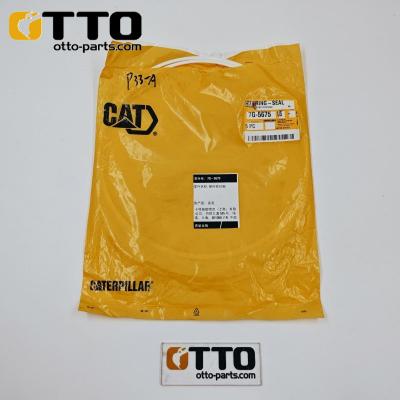 7G-5675-OTTO